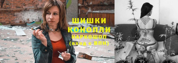 ПСИЛОЦИБИНОВЫЕ ГРИБЫ Алзамай