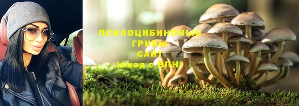ПСИЛОЦИБИНОВЫЕ ГРИБЫ Алзамай